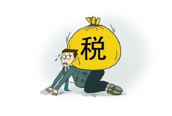 崇阳一般纳税人好还是小规模纳税人好？