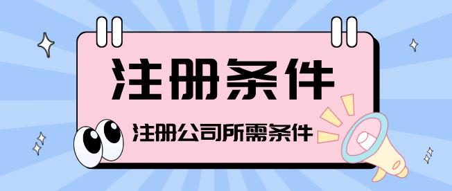浩口镇法人注册公司的条件
